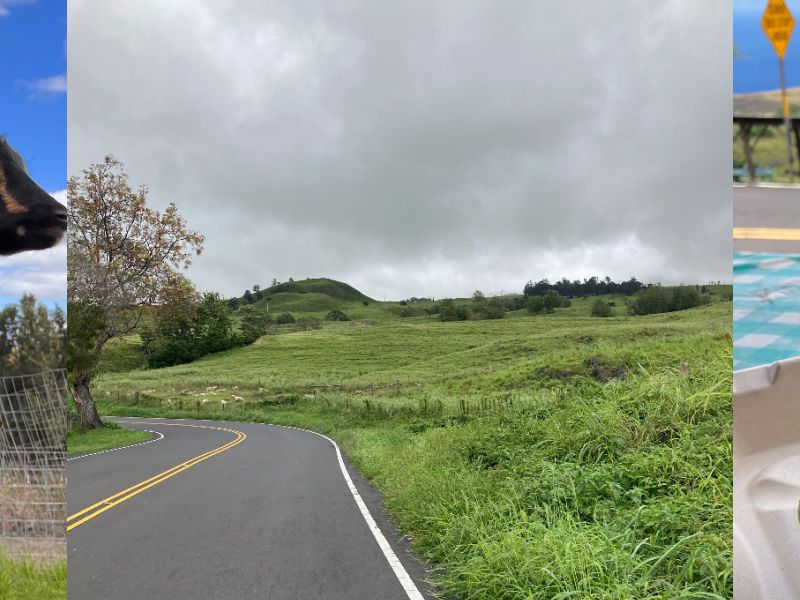 Discovering the Charms of Upcountry Maui