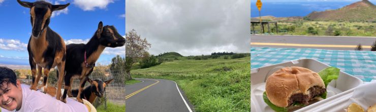 Discovering the Charms of Upcountry Maui