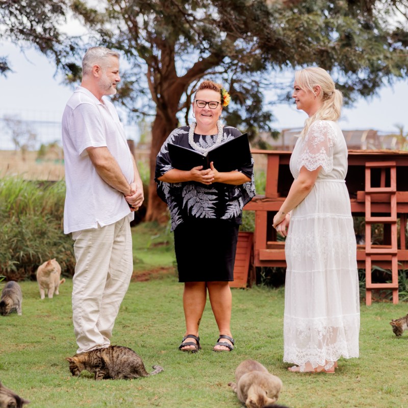 Getting Married in Purr-adise