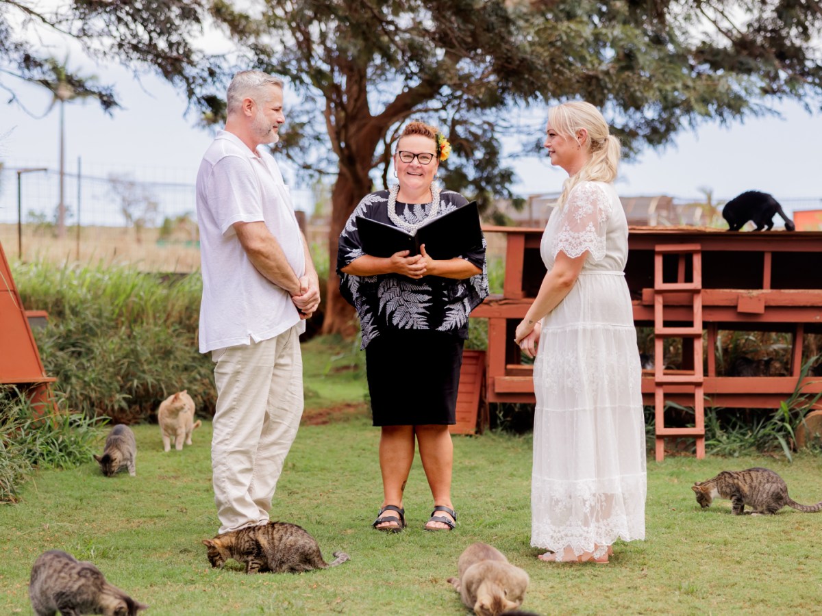 Getting Married in Purr-adise