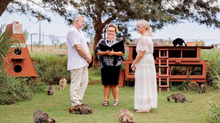 Getting Married in Purr-adise